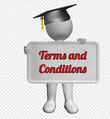 Terms and Conditions - YonoNewGames.com Website Rules